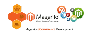 magento website development